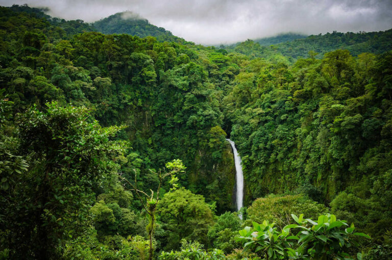 Cómo la economía verde de Costa Rica está allanando el camino hacia el desarrollo sostenible