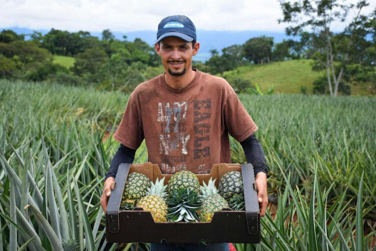 Trabajar en Costa Rica: Lo que los extranjeros deben saber