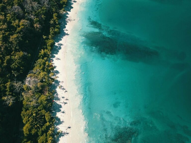 Regenerative Travel: Travel That Heals